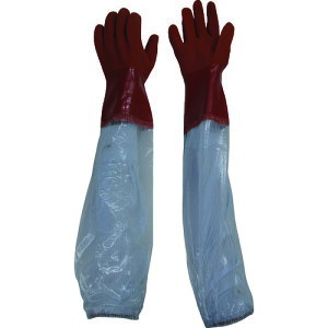 rjX^[ rjX^[rJo[t\tg M 652M