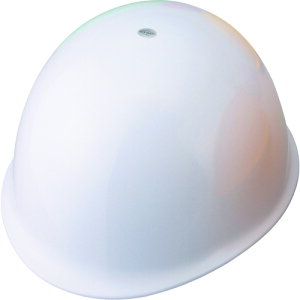 g[[ZteB wbg  MP^Cv NO.110W