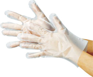 쐼 |G` OG{X100 MTCYy2012-Mz(Ǝ܁EĝĎ)