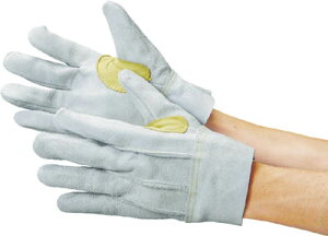 V v wDt 107APⓖty107AP GINATEz(Ǝ܁Ev)