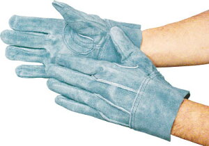 xmO[u IC66Ly5311z(Ǝ܁Ev)