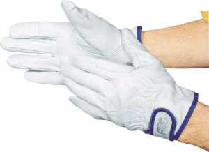 xmO[u F|804LLy5827z(Ǝ܁Ev)