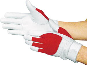 xmO[u F|505bhLy5880z(Ǝ܁Ev)