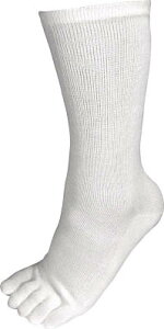 xmO[u tbgbN5{w TV 4gyS-124z(SCEƌCEC)