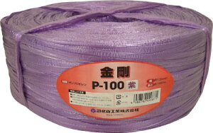 cJT 茋pPPicJTe[vjP|100VI yP-100VIz([vEЂEЂ)