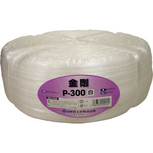 cJT 茋pPPicJTe[vjP|300yP-300z([vEЂEЂ)