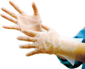 pbN G{X܌ܖ{iGRm~[ϔMyEEK-Mz(Ǝ܁EĝĎ)