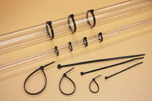 w}^Cg CVbN^C ^Reg^CyMCTMP100z(dݔziEP[u^C)yz