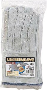 ӂ vȗn5{w܁y485z(Ǝ܁Ev)