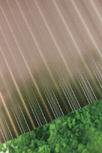 ^L |JgMJbg 32g 6 4810uYy235686z(zEHpԎd؂Eg)