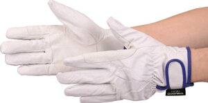 TRUSCO }WbNhؖ{v ĕt^Cv MTCYyTWLG-Mz(Ǝ܁Ev)