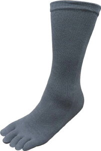 B 5{w\bNX J[4gy641z(SCEƌCEC)