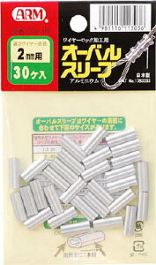 ARM I[oX[u30yOS-1Bz(zEHpԎd؂EC[v)