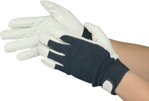 ӂ ؊vbX}WbNt  LyR-29-N-Lz(Ǝ܁Ev)