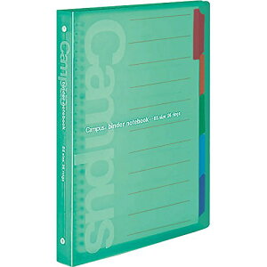 RN oC_[m[g LpX B5 26 ő100e  -P333G (-P333G)