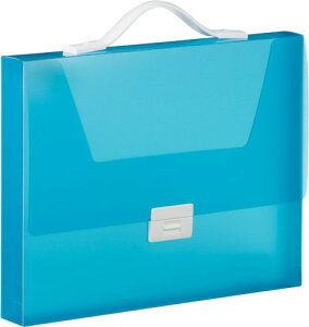 LOW LOP[X Vv[Y Obv^Cv A4 40mm 294TSP  (294TSPAI)