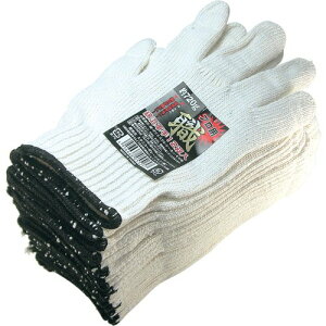 ~^j ȍR12\E (202437)