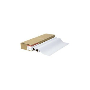 �L���m�� ���[���V �X�^���_�[�h�t�c�E�V2 LFM-PPS2/24/ (1��)�y���������z