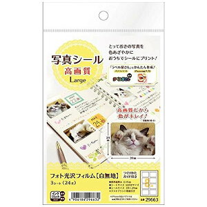 G[ ʐ^V[掿LARGE 29663