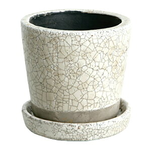 _g DULTON O[Yh|bg M AC{[ CH13-G476IV(s)