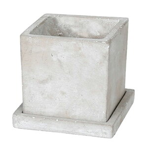 �_���g�� DULTON �\���b�h�v�����^�[ �L���[�uL �v���[�� A655-758LPL(����s��)