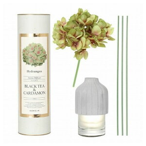 AROMA DIFFUSER HYDRANGEA GREEN/BLACK TEA&CARDAMON A} fBt[U[ nChWA H19-0048GN DULTON _g  킢(s)yz