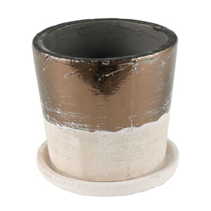 DULTON �_���g�� �A�ؔ� �e���R�b�^ �o�C�J���[�|�b�g 5�� �� �|�b�g �A�� ���킢�� ������� �A�����J�� ���B���e�[�W�� �v���[���g �M�t�g �v�`�M�t�g(����s��)