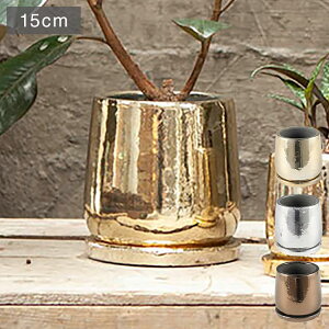 DULTON _g Aؔ Eh|bg M a15cm uY 킢  AJ Be[W v[g Mtg v`Mtg(s)