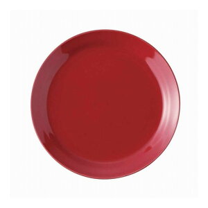 丸利玉樹利喜蔵商店 プレート 23cm HINATA 陶器 おしゃれ かわいい レッド(代引不可)