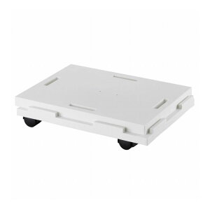 TR[vX`bN { {  Ał NS Ch LX^[t ƒp 23.6cm zCg Ał郉NS 22 zCg(s)yz