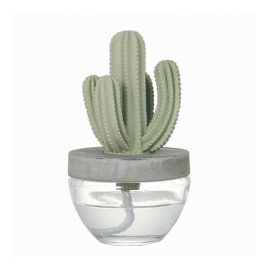 DULTON �_���g�� �f�B�t���[�U�[ �J�N�^�X�t���O�����X�f�B�t���[�U�[ �T�{�e�� Elegantpeony Oceanbreeze ���킢�� ������� �A�����J��(����s��)