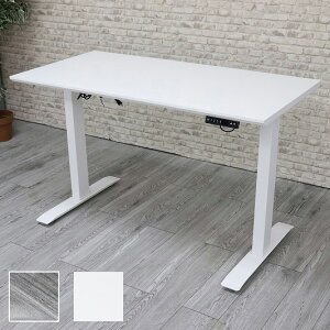 d~fXN 120×60cm @\t ItBXfXN X^fBOfXN ~fXN e[N ݑΖ fXN(s)yz