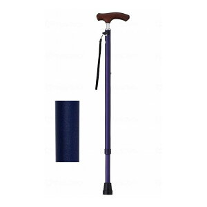 EFt@ CtXebL XlbNLkx[VbN^Cv(n) lCr[yz