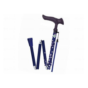 tWz[ 邪t@2 ܏ ԃlCr[yz