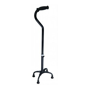 cӃvX egEPC  n M -yz