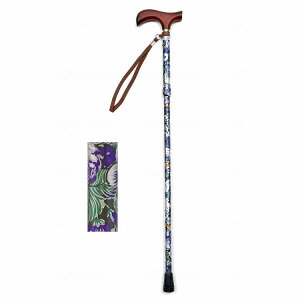 EFt@ CtXebL ܂肽ݐLk^ ԃoCIbg(s)yz