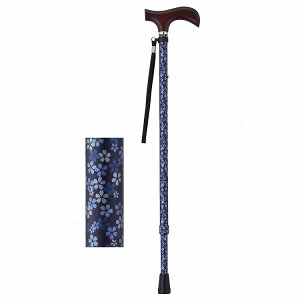 EFt@ CtXebL Lk^ X^Cv _[Nu[t[(s)yz