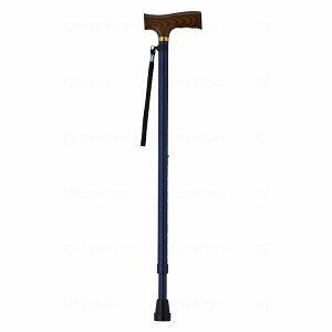 EFt@ CtXebL Lk^ x[VbN^Cv lCr[(s)