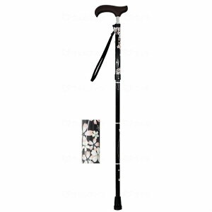 EFt@ CtXebL XlbN܏X^Cv  ubN`F[(s)yz