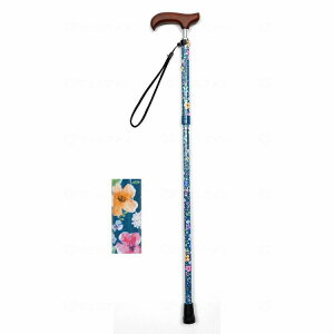 EFt@ CtXebL XlbN܏X^Cv  lCr[t[(s)yz