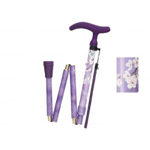 tWz[ ANeBu O[X ܏S p[v WB3753(s)yz