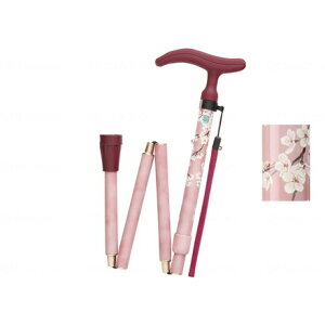 tWz[ ANeBu O[X ܏S sN WB3752(s)yz