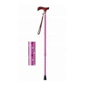 EFt@ CtXebL Lk^(X^Cv) ~CgsN Mtg{bNXdl 009714(s)yz