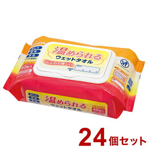 T ߂EGbg^I 40 P[X 24 42442 975243 1008 13334(s)yz