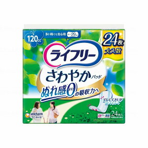 �y�@�l����z���j�E�`���[�� T����₩�p�b�h�������ł����S�p24��/�P�[�X/24�� �P�[�X 24�� 52266 419317 1008 12836 24����×8��(����s��)�y���������z