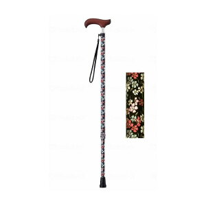 EFt@ CtXebL XlbNLkX^Cv()/Yȑ/- 009734 Yȑ 1{ 009734 11941 -(s)yz