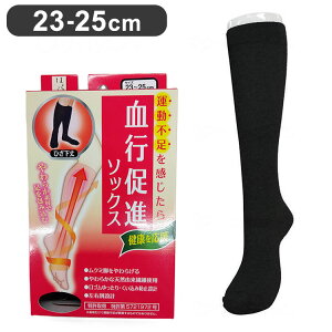 ͂炭 si\bNX ubN 23-25cm { C  ނ si ₦ F792-975-24-90(s)yz