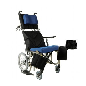 �J�������T�C�N�� �҂�����t�B�b�gKPF16-42 ABF�d�l TP�S�[���h/��×���b�V��(����s��)�y�|�C���g10�{�z�y���������z
