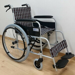 a Ԃ X^_[h(A~)m[pN/`FbNubN/-(s)y|Cg10{zyz