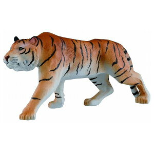 AjA AS-30 g ChVer. ^Jg~[ ߋ  NX}Xv[g